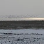Duenenhus Whg 2 Baltrum