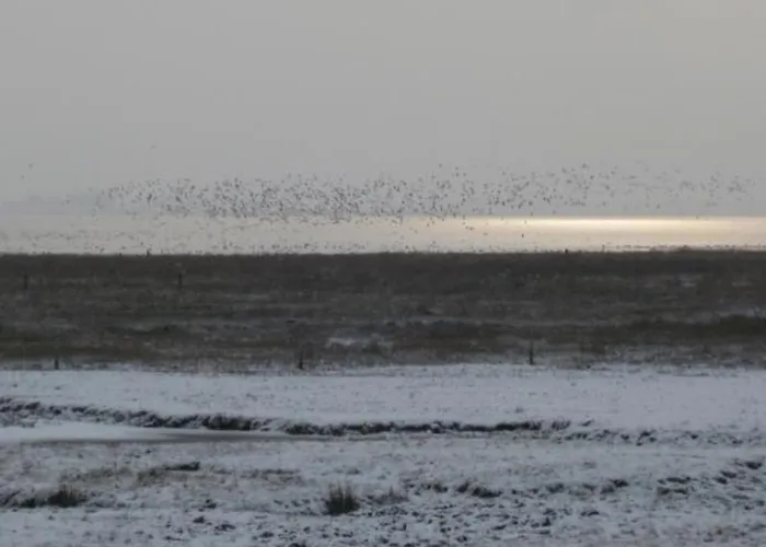 Duenenhus 2 באלטרום